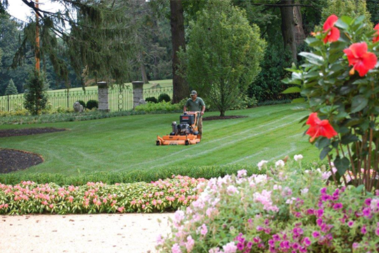 How to Protect Your Landscape from Late-Summer Stress