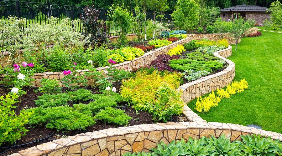 Mid-Summer Landscape Refresh: Small Changes, Big Impact