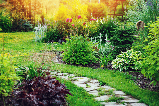 Plan Now for Fall Planting and Landscape Improvements