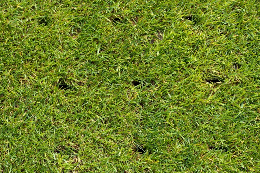 Expert Lawn Aeration & Overseeding Service