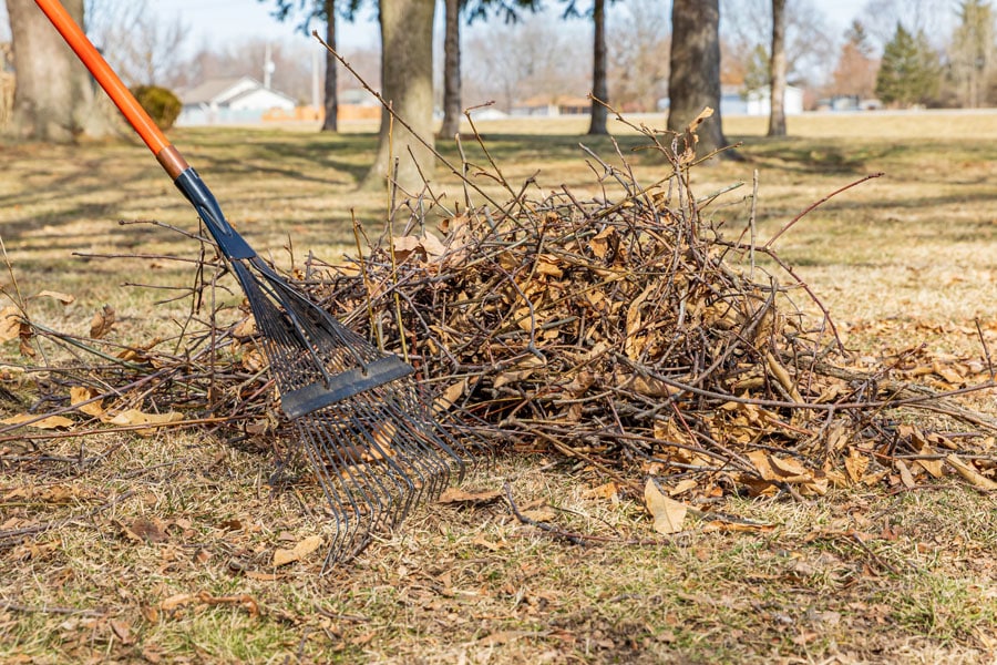 Reliable Spring & Fall Cleanup Services