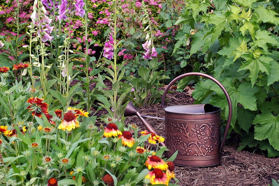 June Mulch Maintenance: Keep Your Beds Summer-Ready
