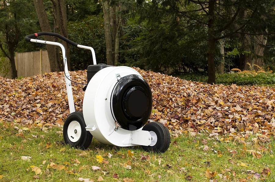 Keep Your Lawn Healthy with Timely Leaf Removal